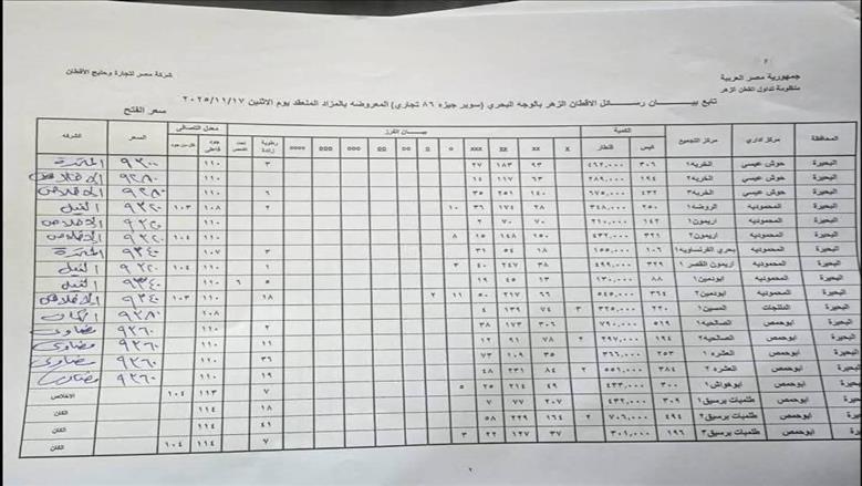 مزاد القطن