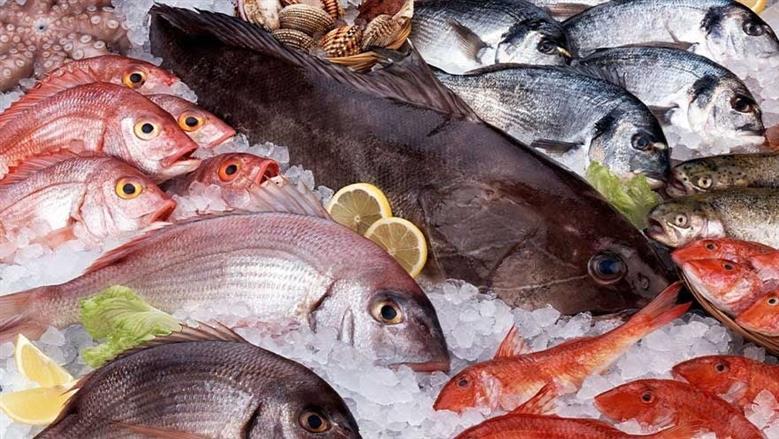 الجمبري يتراجع.. أسعار الأسماك اليوم الثلاثاء 18-11-2025