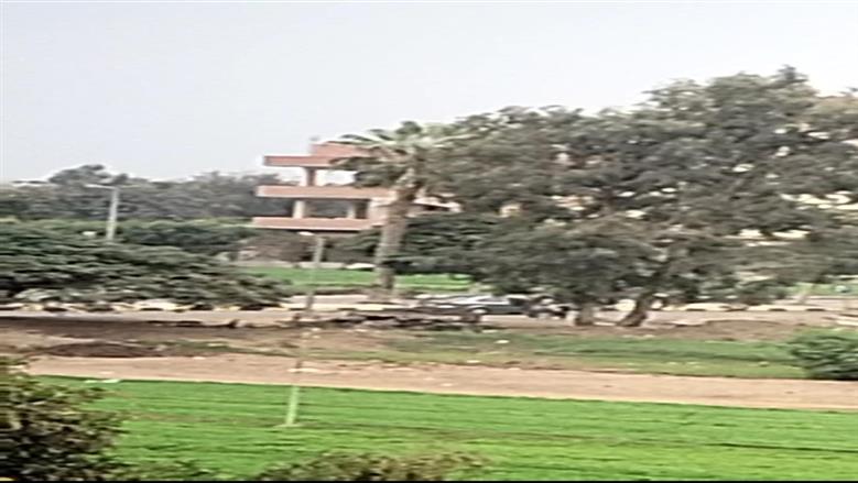 المنوفية