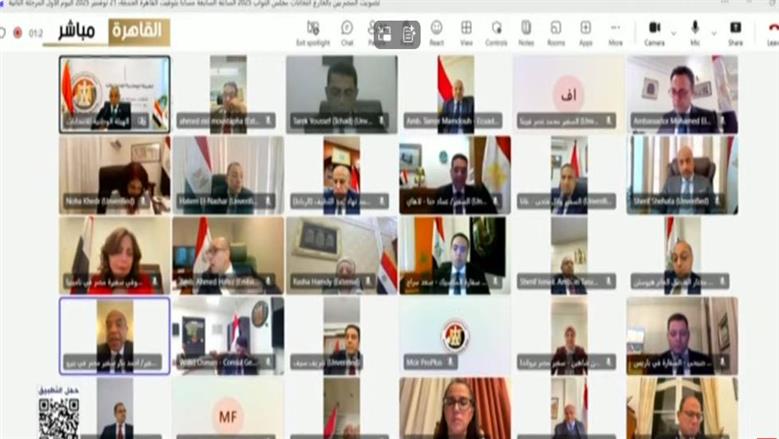 المرحلة الثانية من انتخابات النواب بالخارج.. إقبال ملحوظ بالإكوادور وبيرو وكوبا