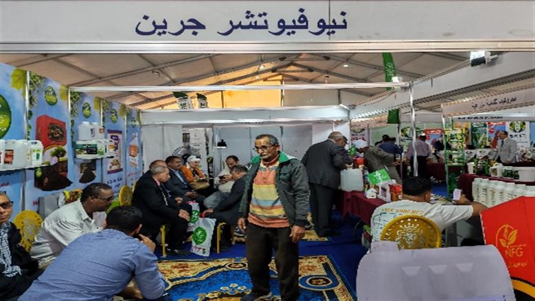 جامعة أسوان