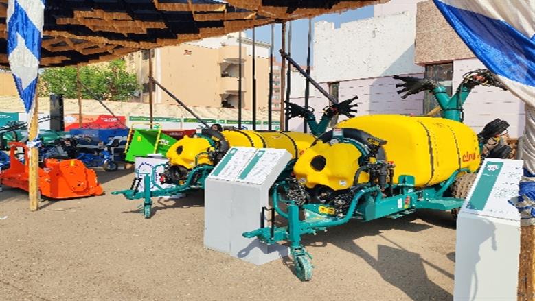جامعة أسوان