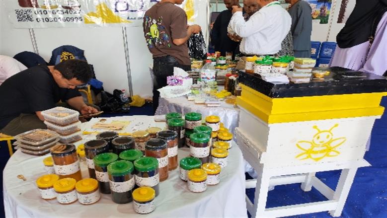 جامعة أسوان