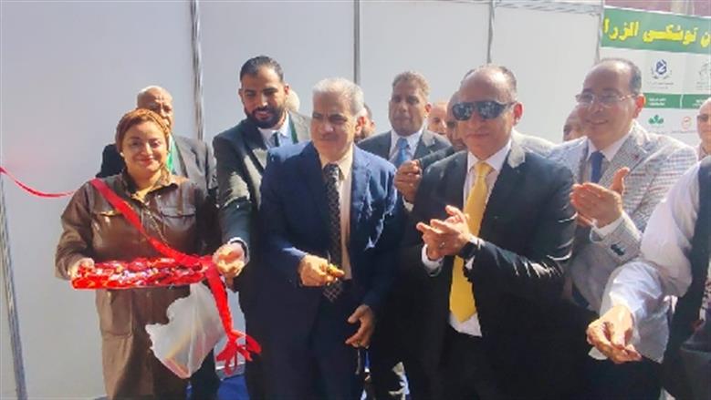 جامعة أسوان