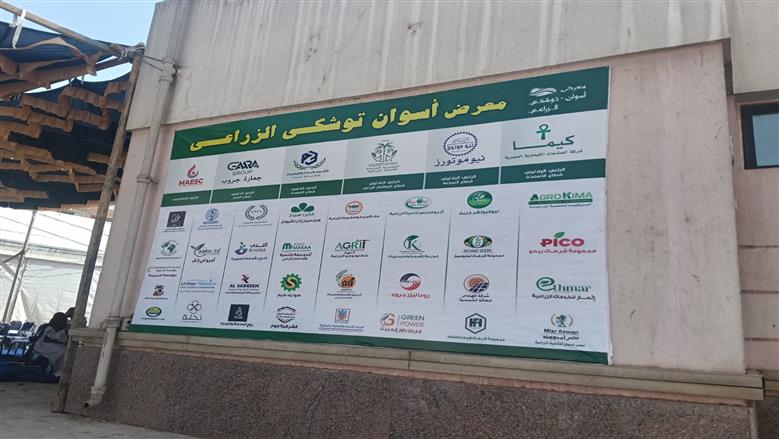 جامعة أسوان 