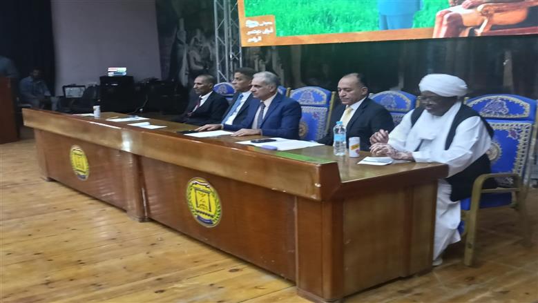 جامعة أسوان 