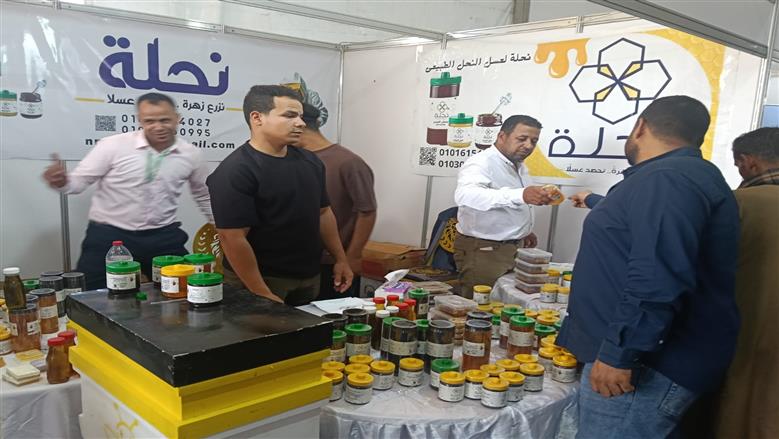 جامعة أسوان 
