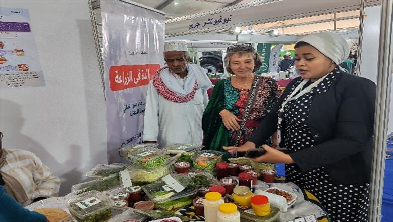 جامعة أسوان 