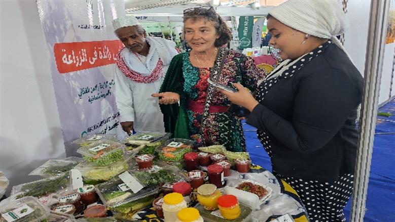 جامعة أسوان 