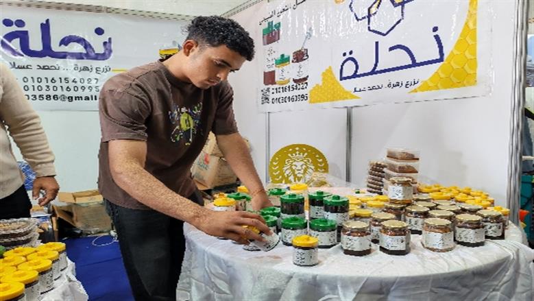 جامعة أسوان 