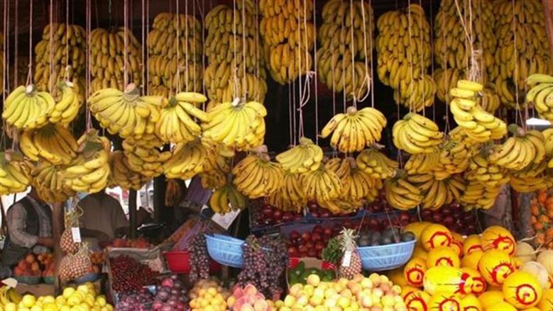 سعر الموز اليوم