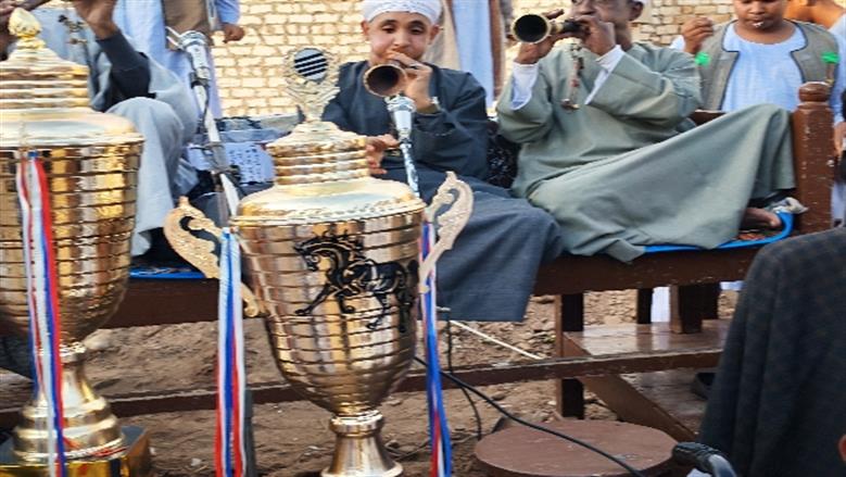 محافظة أسوان