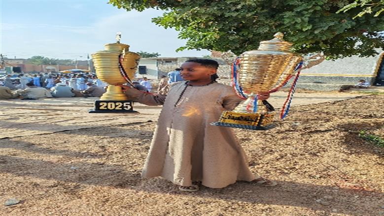 محافظة أسوان
