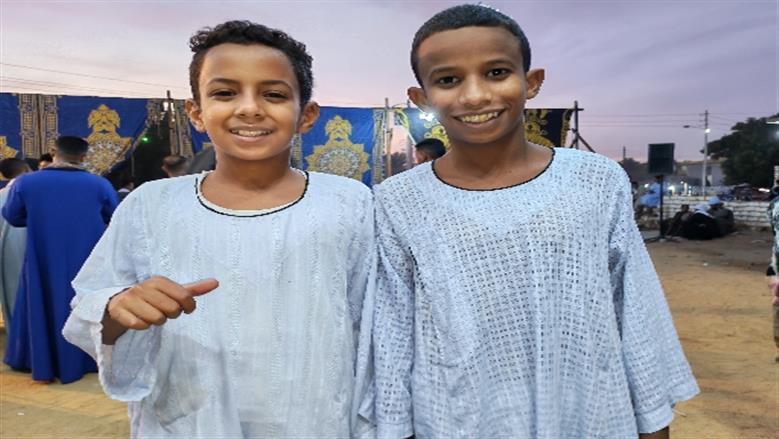 محافظة أسوان