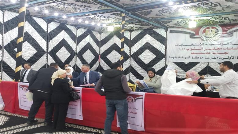 نتيجة انتخابات مجلس النواب المرحلة الثانية للدائرة السادسة منية النصر في الدقهلية