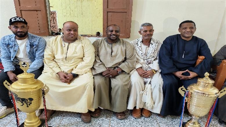 محافظة أسوان