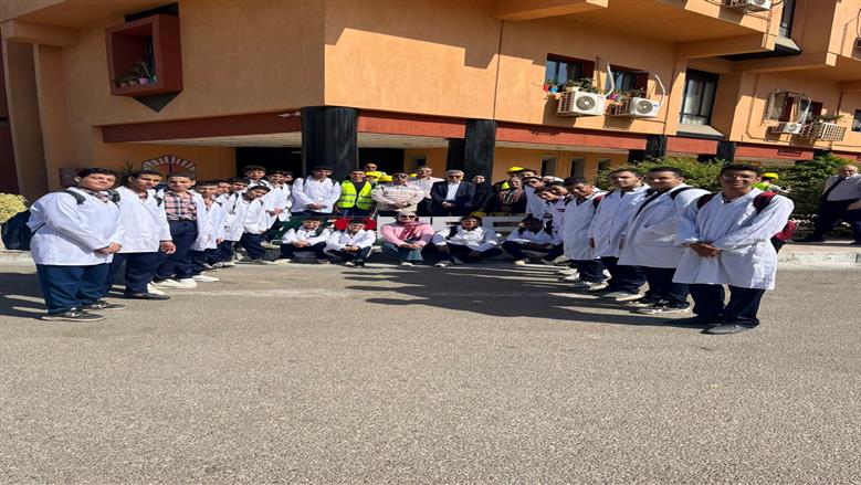 الطاقة المتجددة