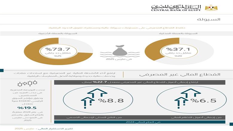 تقرير الاستقرار المالي- البنك المركزي المصري