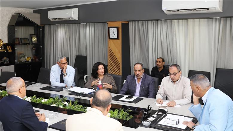 محافظة أسوان