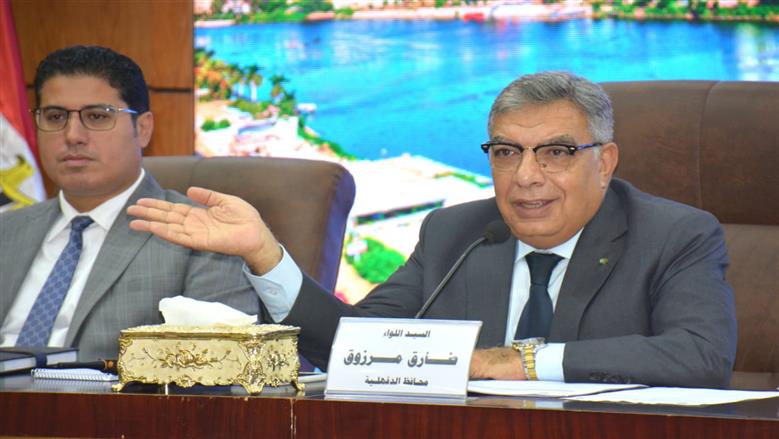 محافظة الدقهلية 