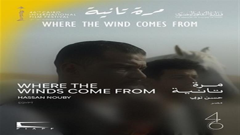 مهرجان القاهرة 