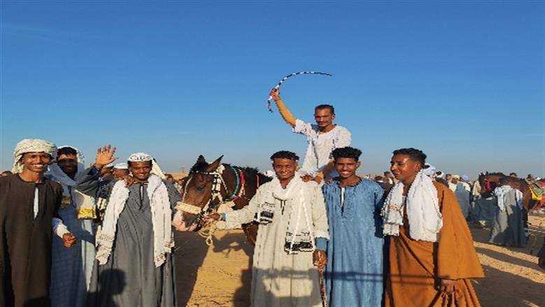 محافظة أسوان 