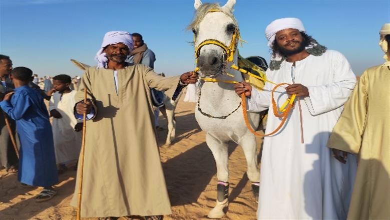 محافظة أسوان 