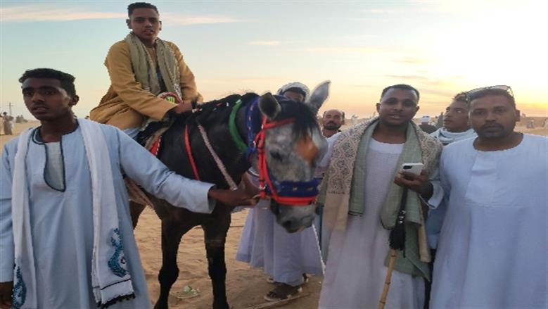 محافظة أسوان 