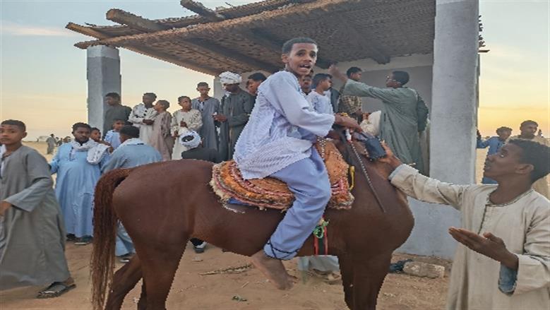 محافظة أسوان 