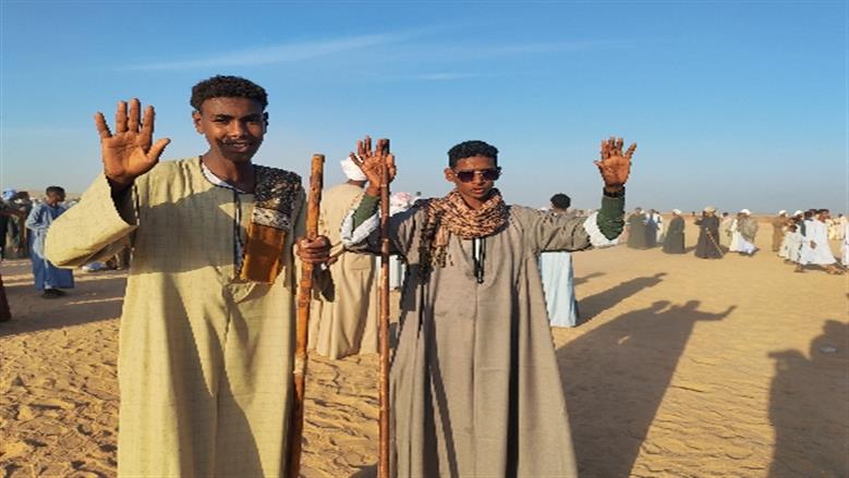 محافظة أسوان 