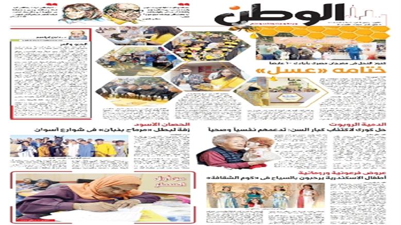 محافظة أسوان 