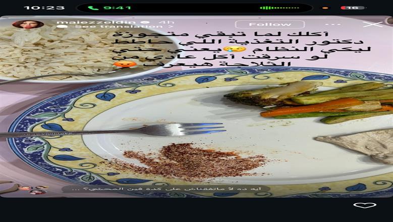 مي عز الدين
