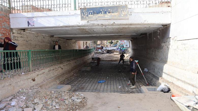 المنوفية