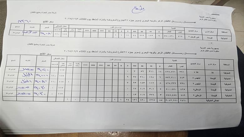 القطن