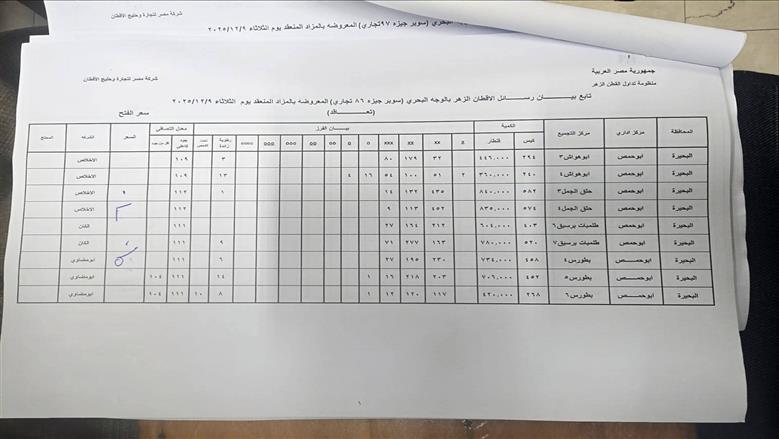 القطن