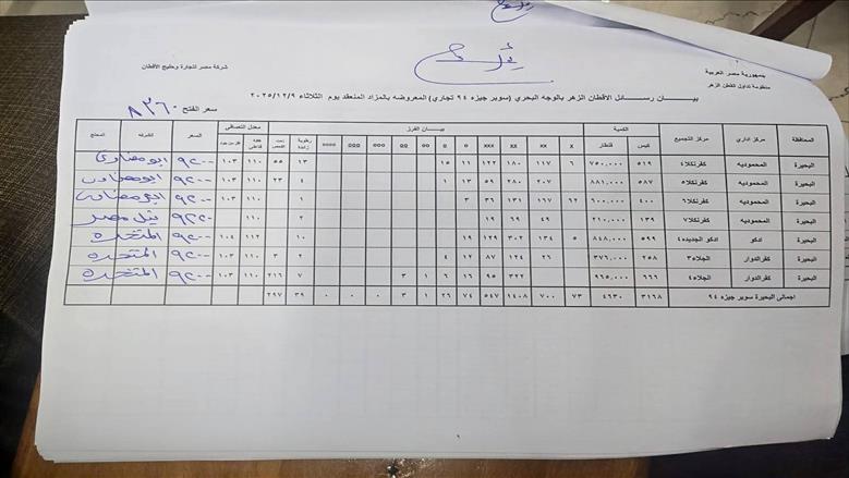 القطن
