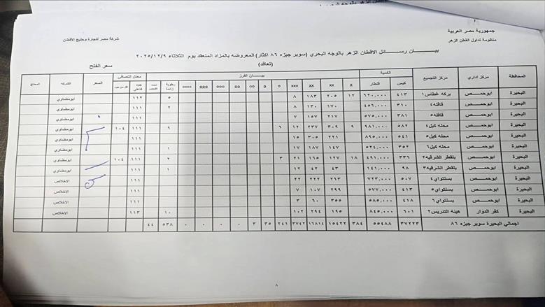 القطن