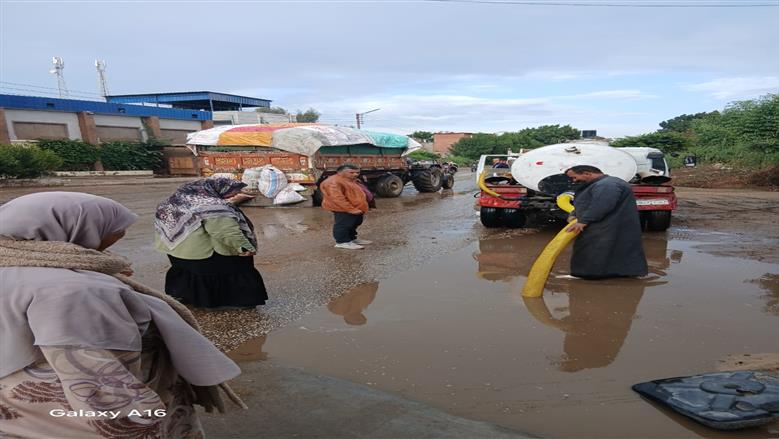 المنوفية