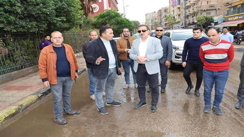 المنوفية