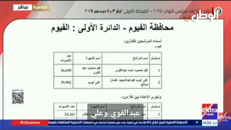 نتيجة انتخابات مجلس النواب 2025 الفيوم