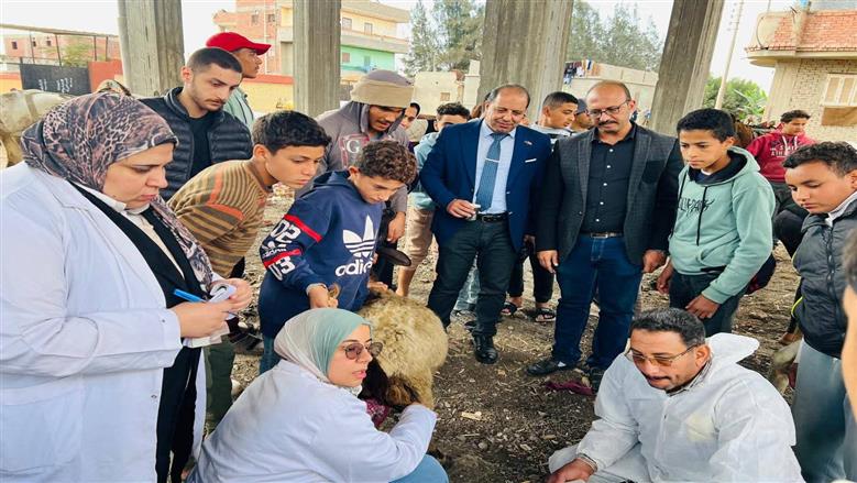 علاج وتحصين 3265 رأس ماشية وطيور في قافلة بيطرية بالدقهلية 