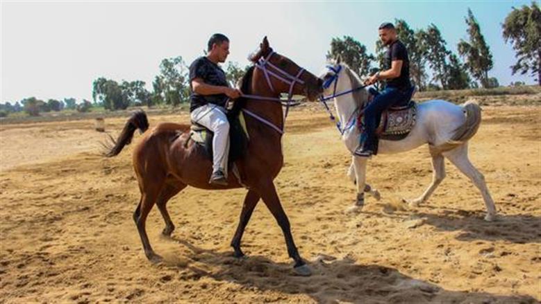 لهواة ركوب الخيل.. اعرف أماكن ممارسة الفروسية في القاهرة والجيزة