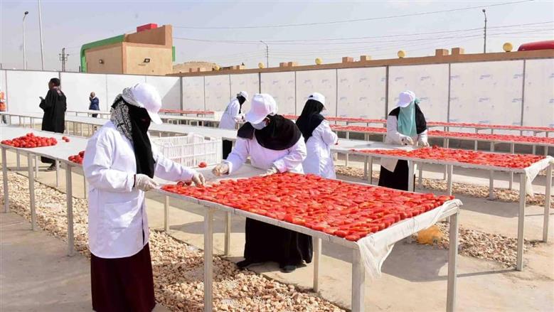 تشغيل مجمعات صناعية وحرفية بأرمنت وإسنا لدعم الصناعات الصغيرة والمتوسطة