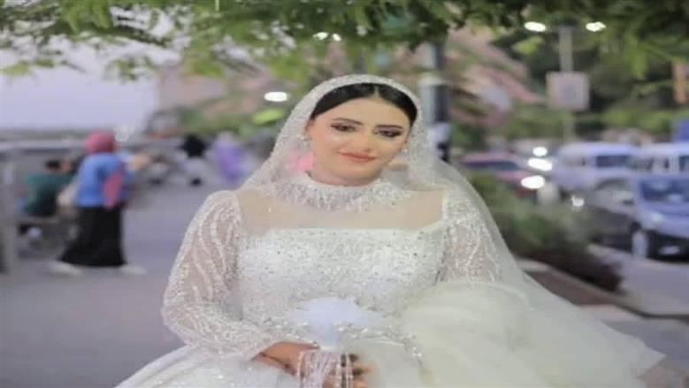 المنوفية 
