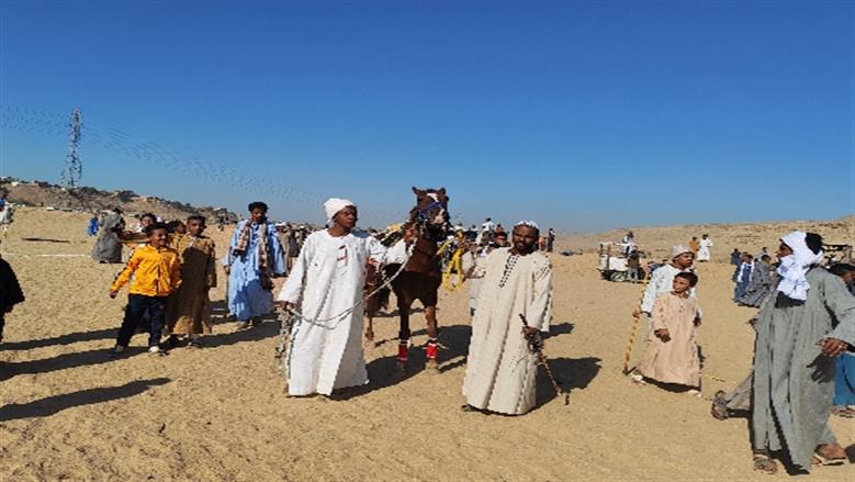 محافظة أسوان 