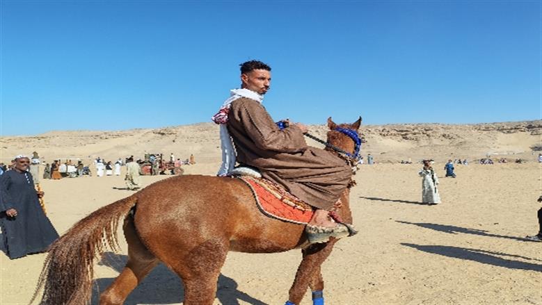 محافظة أسوان 