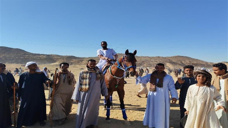 محافظة أسوان 