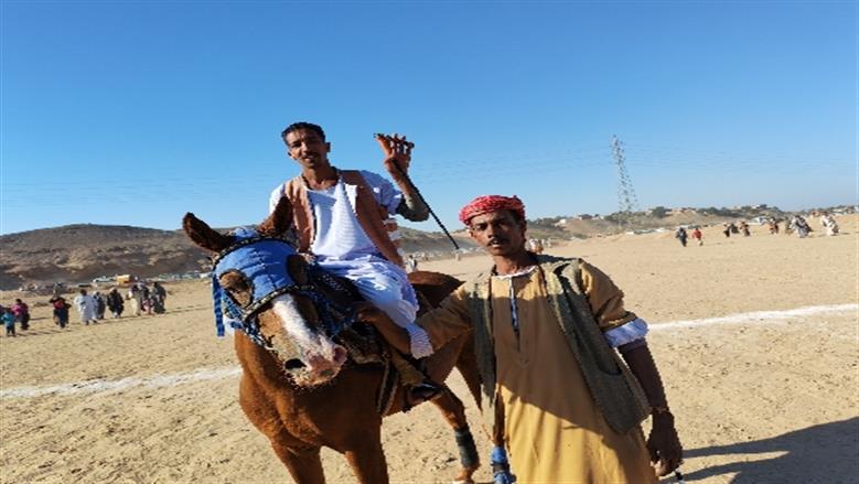 محافظة أسوان 