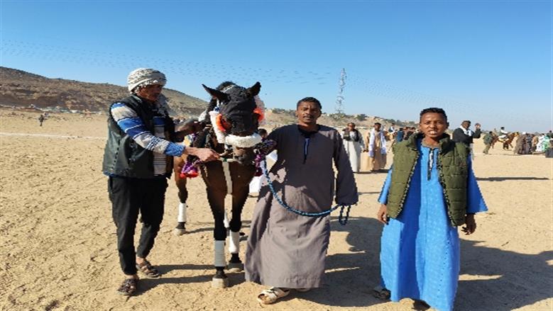 محافظة أسوان 