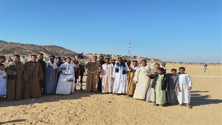 محافظة أسوان 